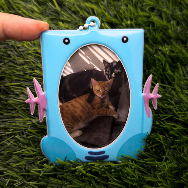 Photocard Holder